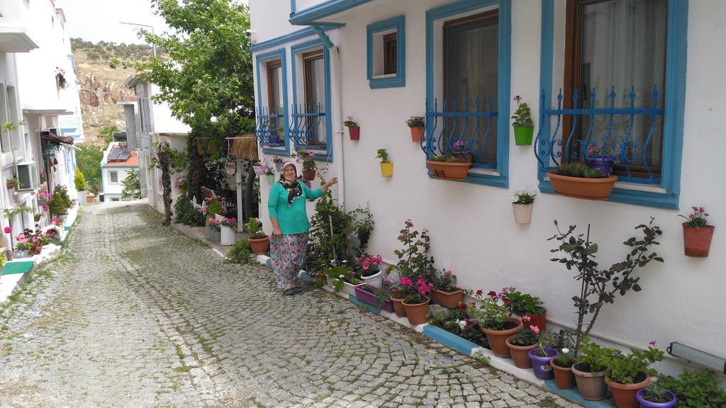 Adali Guest House بوزجادا المظهر الخارجي الصورة